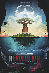 poster of movie Revolution