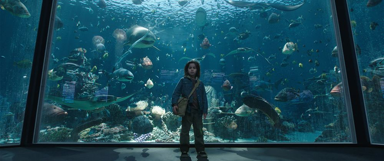 Imagen de Aquaman