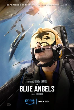 poster of movie The Blue Angels