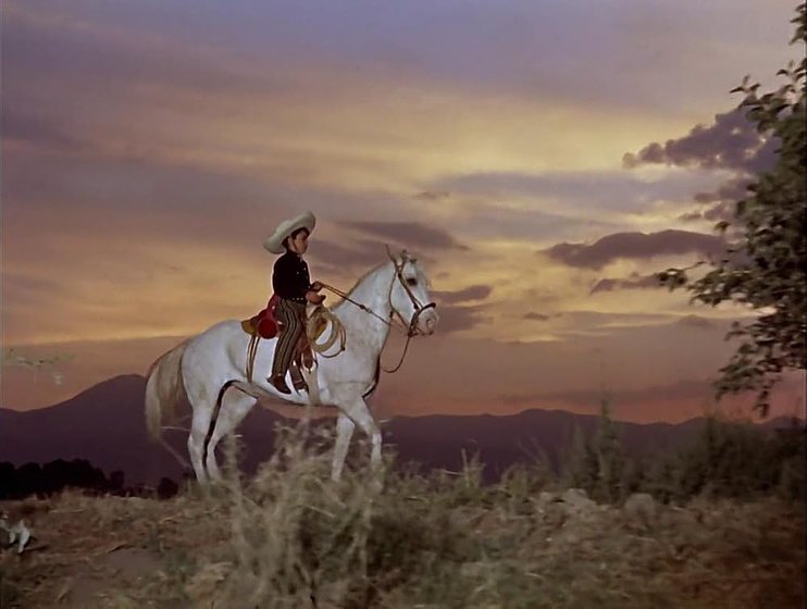 Joselito en El Caballo Blanco
