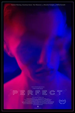 poster of movie Perfect