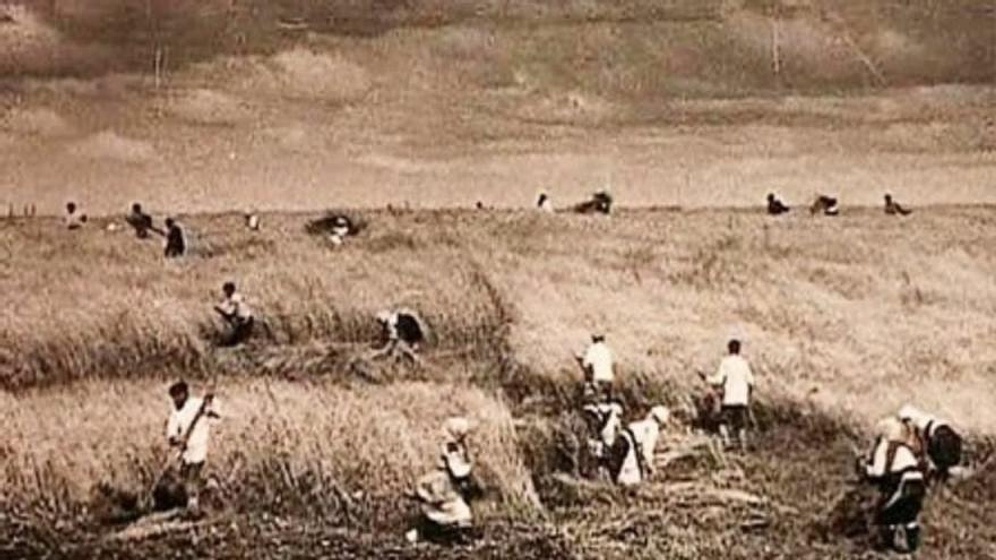 Imagen de Campesinas de Ryazan