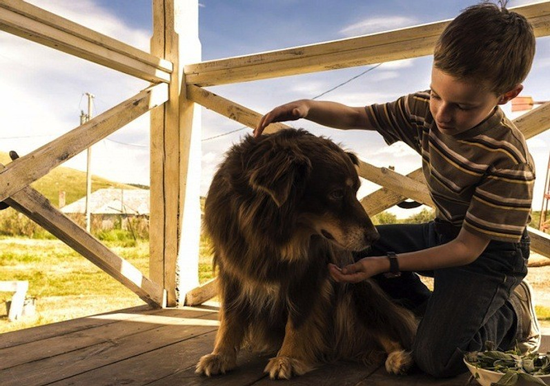 Kyle Catlett en El Extraordinario viaje de T.S. Spivet