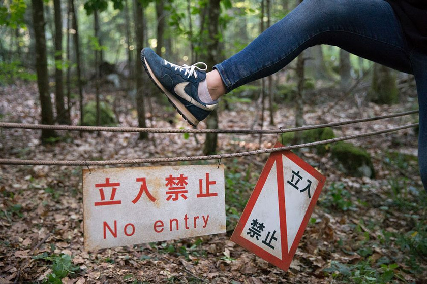 Imagen de El Bosque de los suicidios