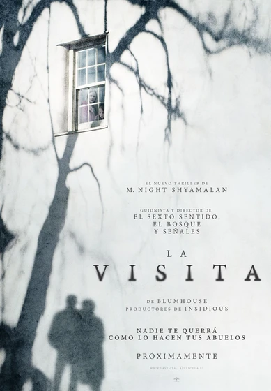 Imagen de la-visita (Cartel español)