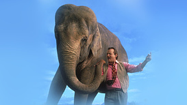 still of movie Un Elefante llamado Vera