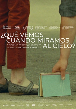 poster of movie ¿Qué vemos cuando miramos al Cielo?
