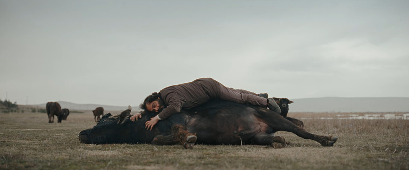 Imagen de Hear the Yellow