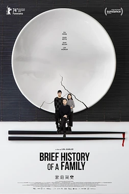 poster of movie Brief History of a Family