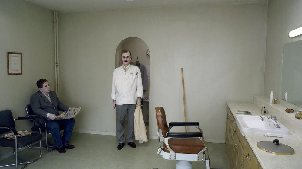 Imagen de una-paloma-se-poso-sobre-una-rama-a-reflexionar-sobre-la-existencia