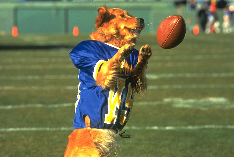 Imagen de Air Bud 2: El Fichaje de la Liga