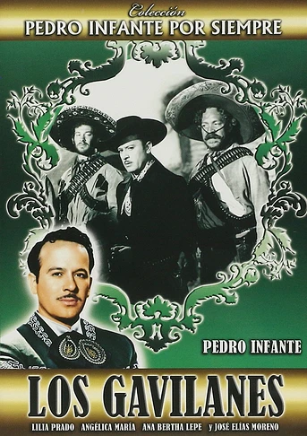 Poster de Los gavilanes