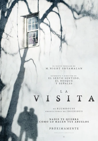 Poster de La Visita