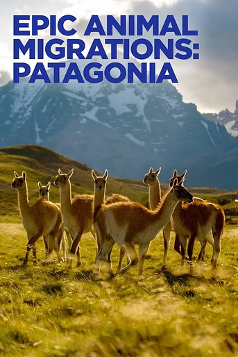 Poster de Migraciones Animales Épicas: Patagonia