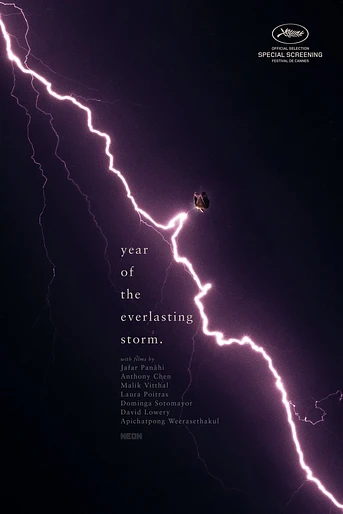 Poster de The Year of the Everlasting Storm