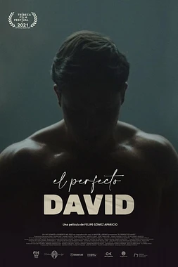 El Perfecto David