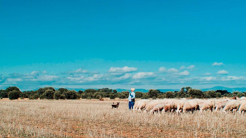 Imagen de Meseta