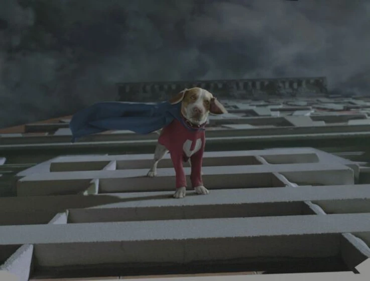 Imagen de superdog