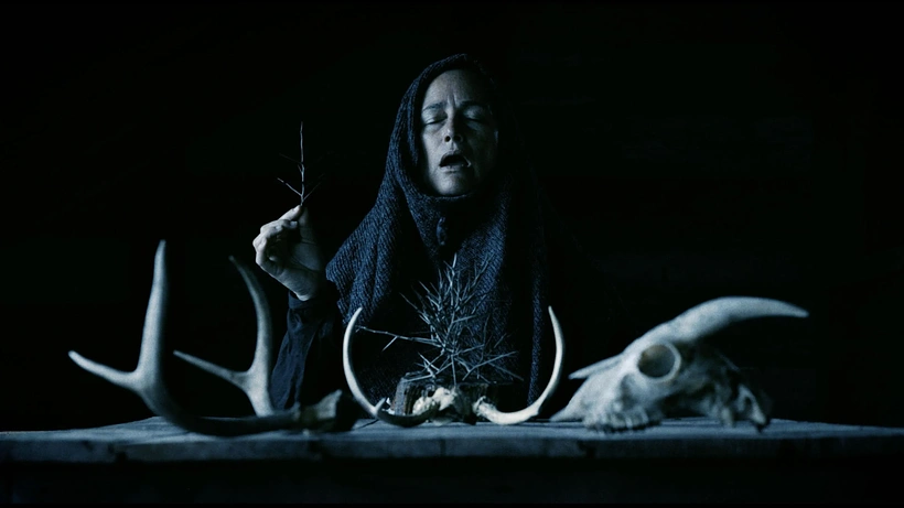 Imagen de Mother of Flies