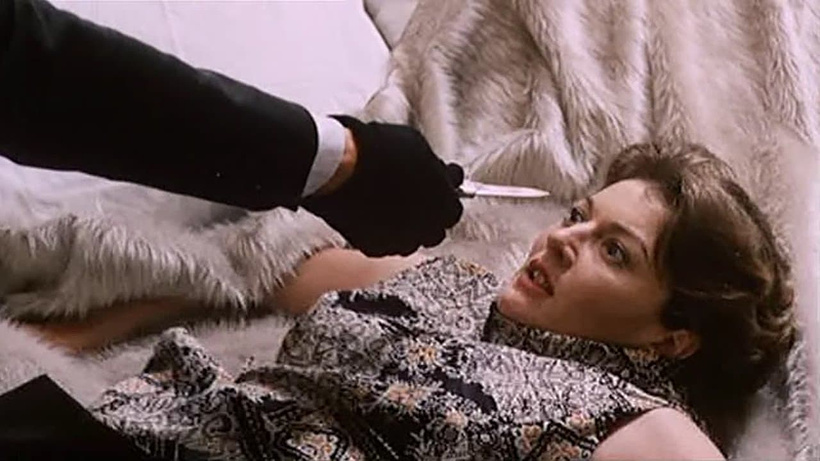 Imagen de Because of the Cats