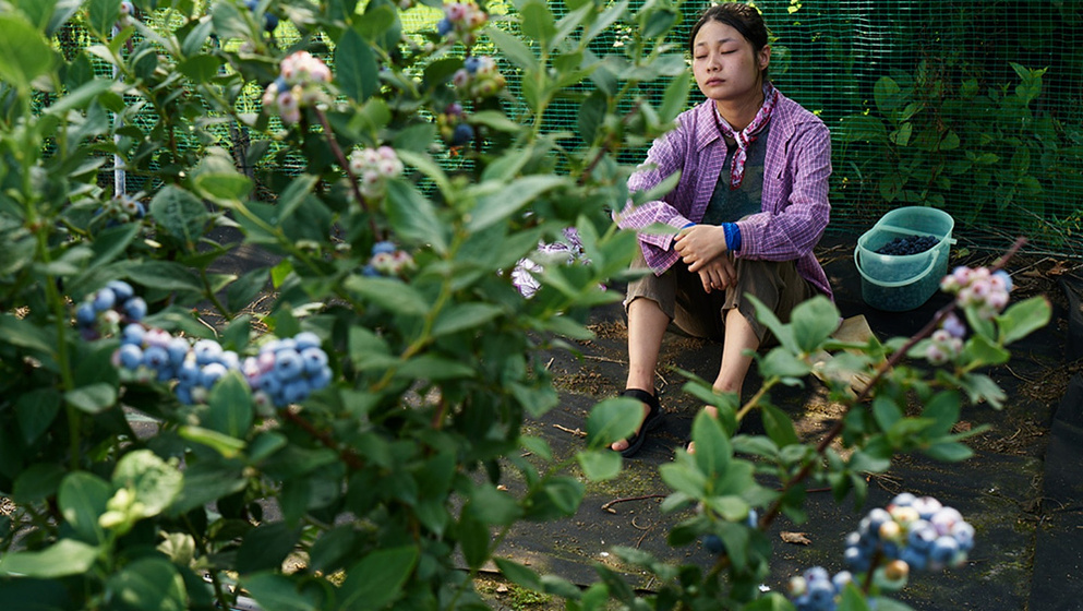 Ha-dam Jeong en ash-flower