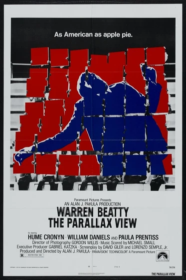 Imagen de el-ultimo-testigo (Poster)