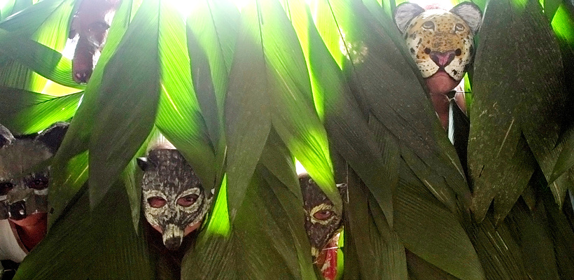 Imagen de Aventuras de Makunáima - Histórias Encantadas da Amazônia