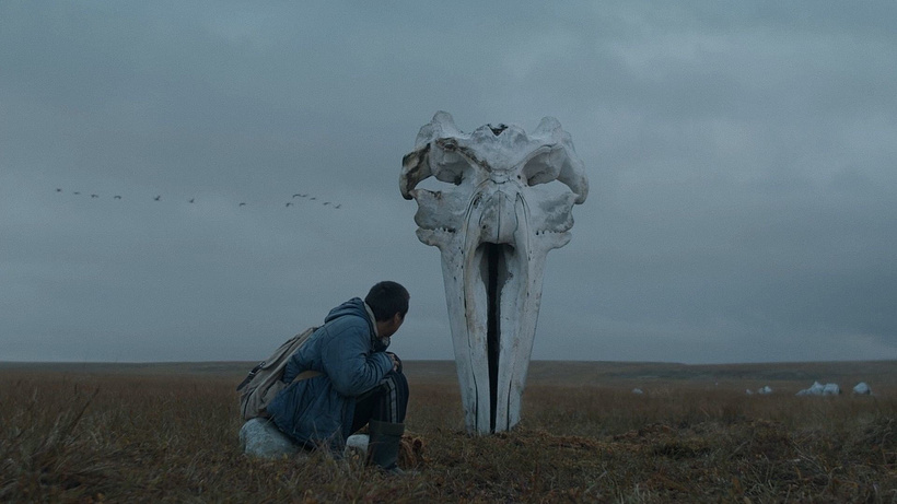 Imagen de The Whaler Boy