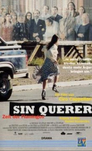 Poster de Sin querer