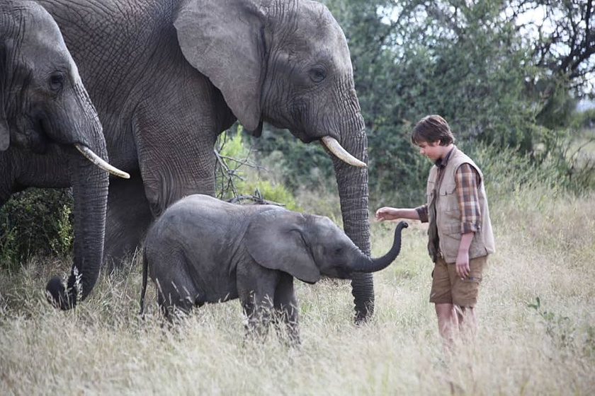 Sam Ashe Arnold en Una Aventura Africana