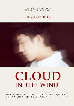 Cloud in the Wind
