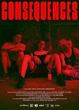 poster of movie Consequences