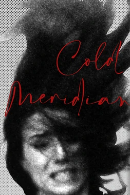 poster of movie Cold meridian