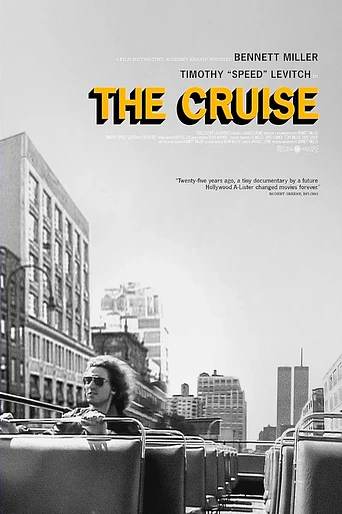 Poster de The Cruise
