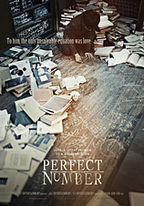 poster of movie Perfect Number