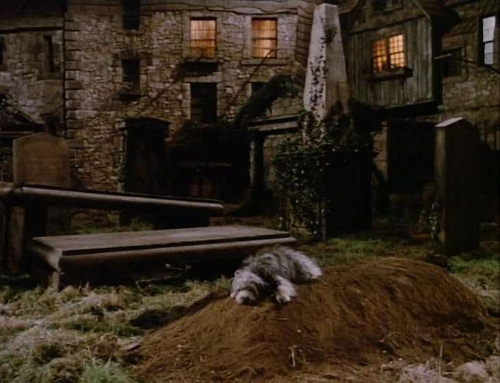 Imagen de mi-leal-companero