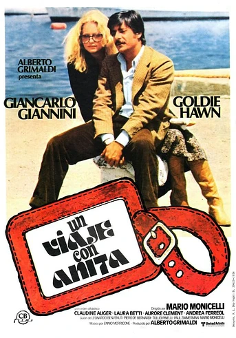 Poster de Un Viaje con Anita