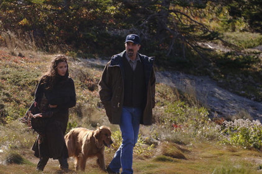 Viola Davis y Tom Selleck en Destino Paraíso