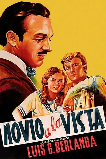Poster de Novio a la Vista
