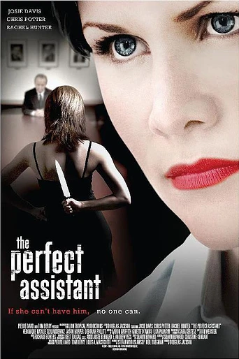 Poster de La ayudante perfecta