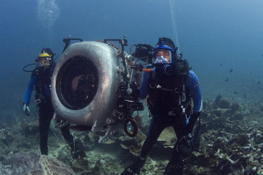 Imagen de Under the Sea 3D