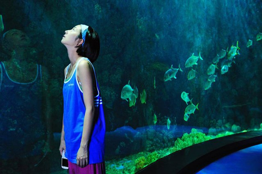 Imagen de Ocean Heaven (Paraíso Oceánico)