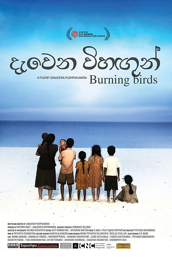 Poster de Burning Birds