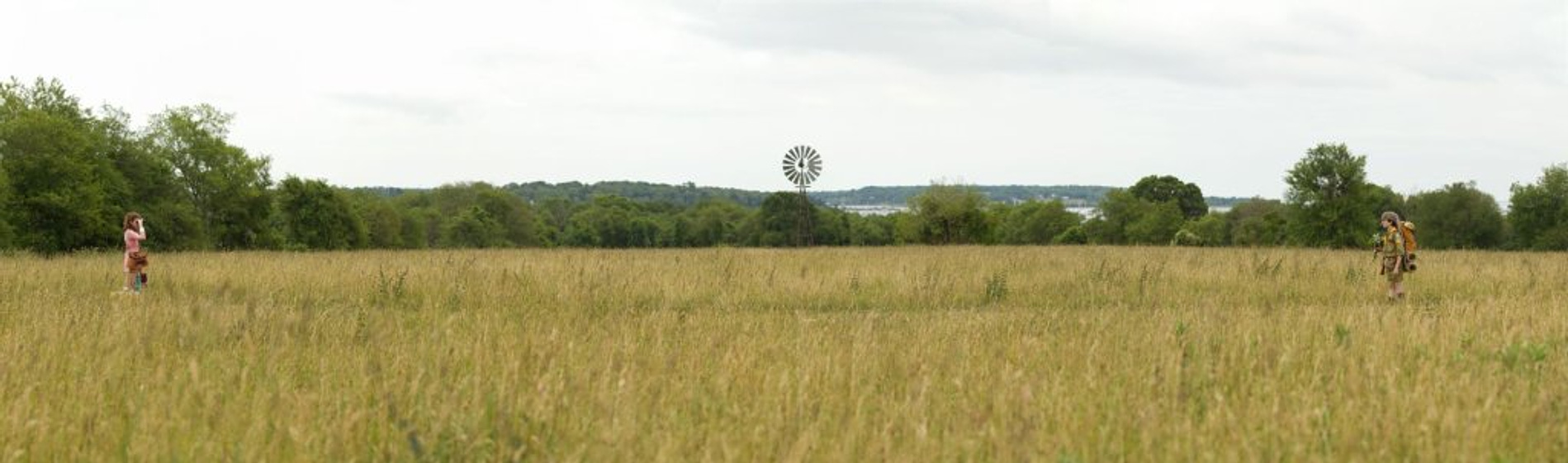 still of movie Moonrise Kingdom