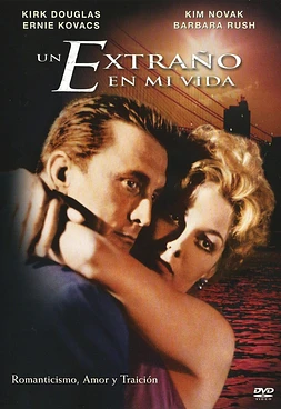 poster of movie Un Extraño en mi vida