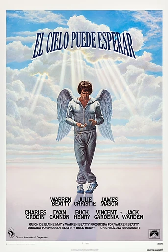 Poster de El Cielo puede esperar