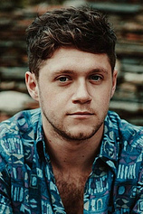 picture of actor Niall Horan