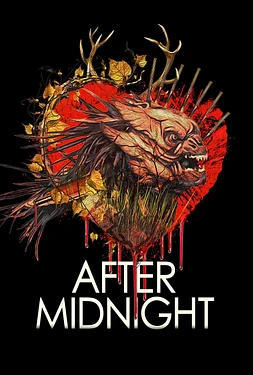 poster of movie After Midnight