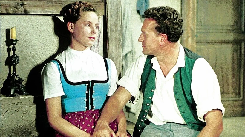 Imagen de Der Schandfleck