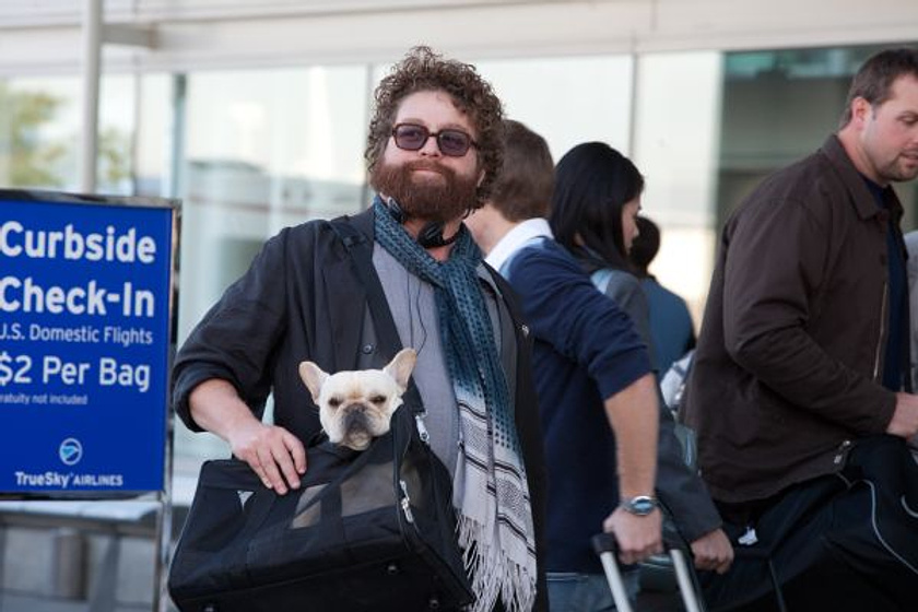 Zach Galifianakis en Salidos de cuentas